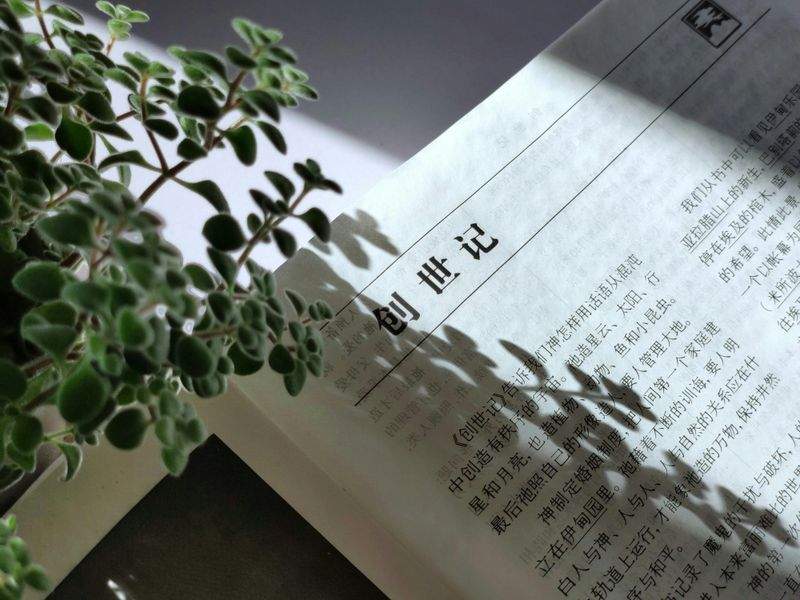 暮らしに寄り添う収納アイデアで、すっきりとした毎日へ