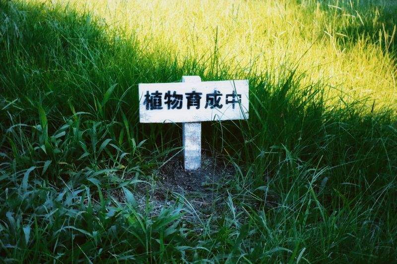 ギフト・季節演出提案